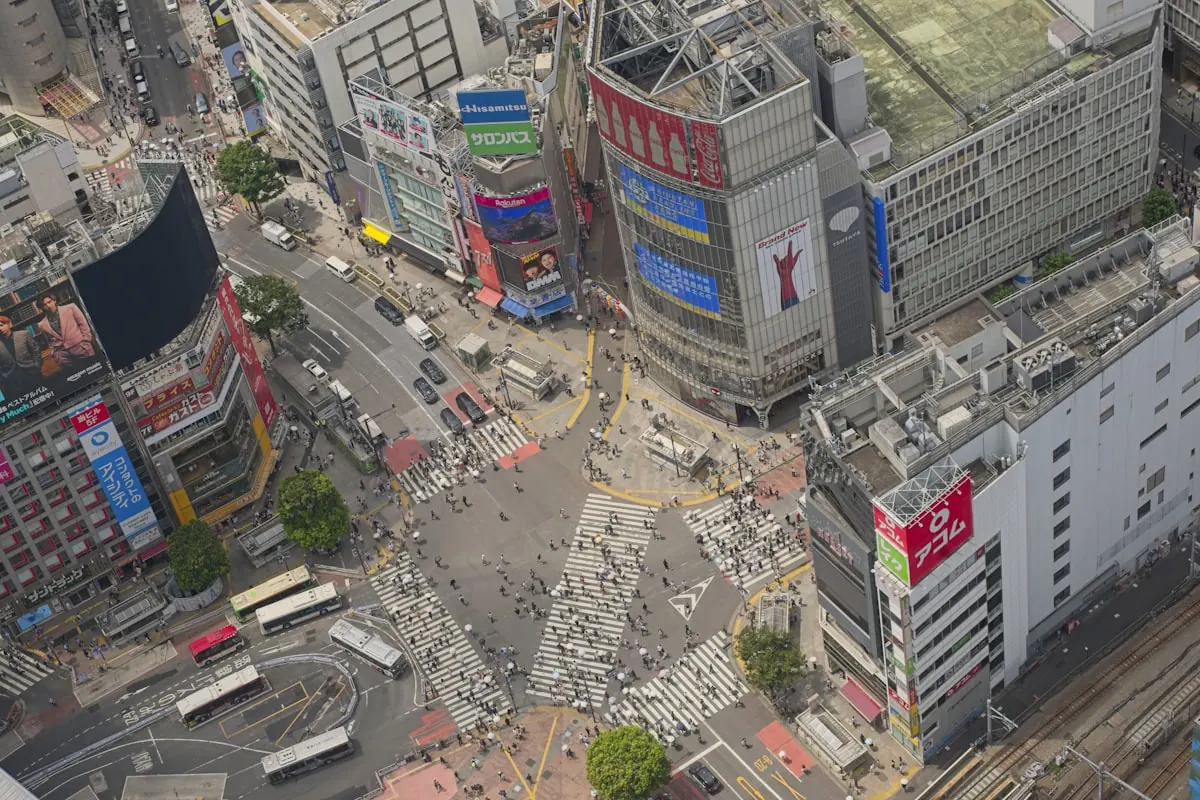 Japan Earthquake: Causes, Measures, and Safety